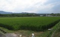 三光田口（2）