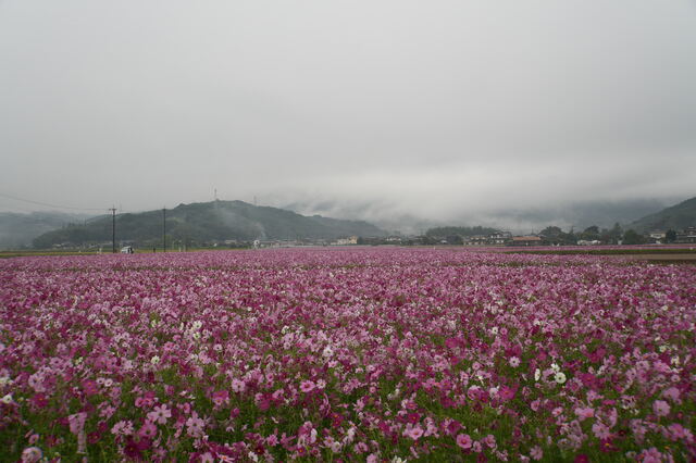 10月24日撮影 10月24日撮影