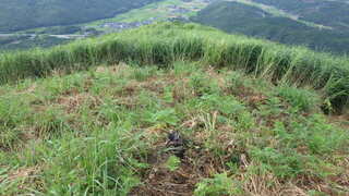 RIMG2814