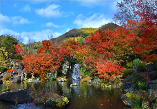 「渓石園秋景」（安部 武夫さん撮影）